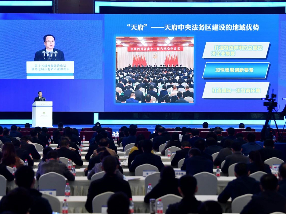 王树江：加快建设面向世界的一流法律服务高地